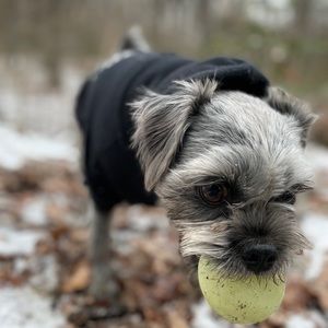 Meet your Posher, Rachel